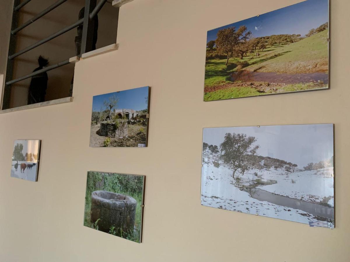 Apartamento Turistico El Esquilon Calzadilla Exterior foto